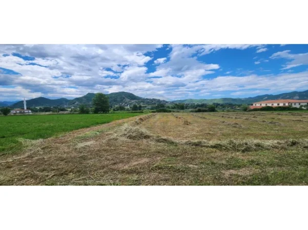 Tirane, shitet toke , 6.000 m² (Picalle)