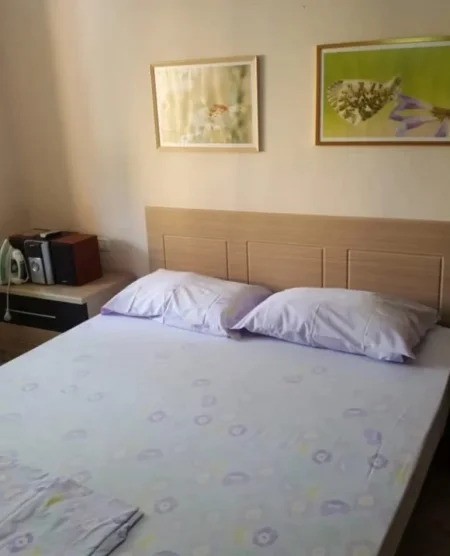 Tirane, jepet me qera apartament 1+1 Kati 3, 53 m² 500 € (Rruga e Elbasanit)