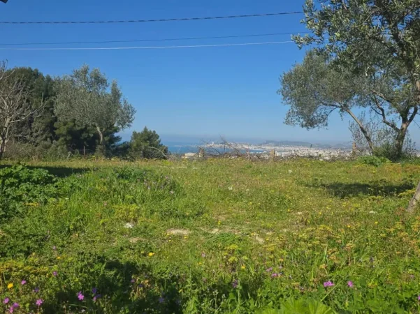 Borsh, shes toke , 1.000 m² 149.800 € (Borsh Himare.)