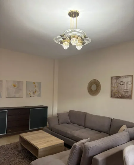 Tirane, jepet me qera apartament 2+1 Kati 1, 120 m² 700 € (Rruga e Elbasanit)