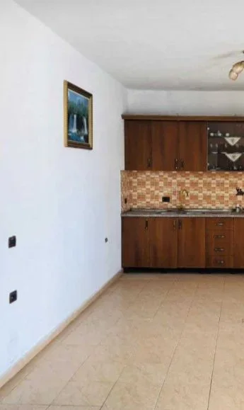 Tirane, jepet me qera shtepi 1+1+Ballkon Kati 1, 160 € (Isitut bregu lumit)