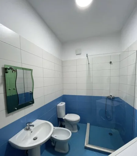 Tirane, jepet me qera apartament 1+1 Kati 5, 64 m² 550 € (Pallati me Shigjeta)
