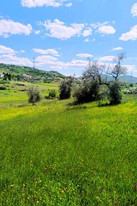 Shqiperi, shitet toke , 2.300 m² (Kashar)