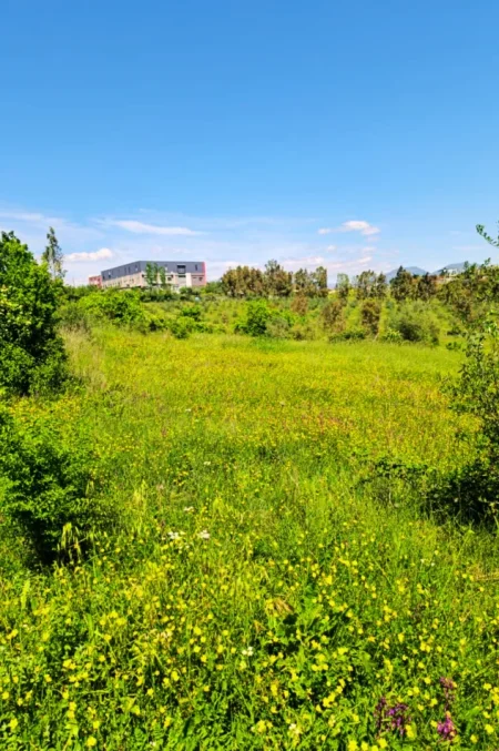 Shqiperi, shitet toke , 2.300 m² (Kashar)