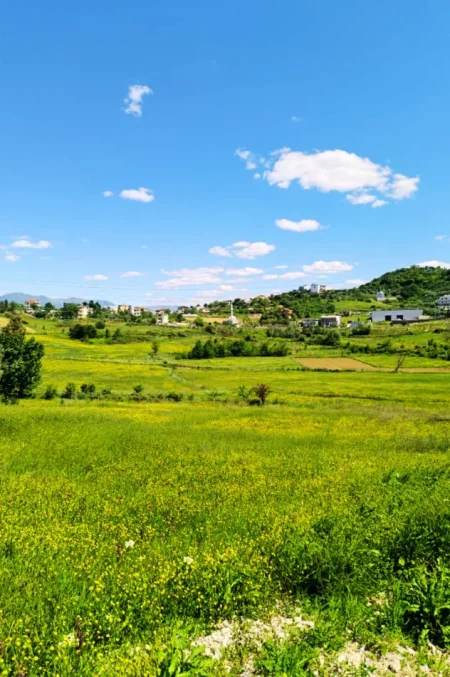 Shqiperi, shitet toke , 2.300 m² (Kashar)