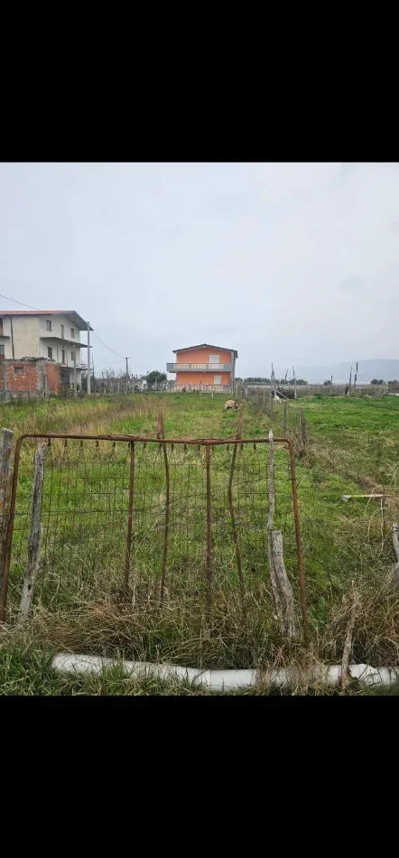 Shengjin, shitet truall ne bregdet , 912 m² 55.000 € (Kune)