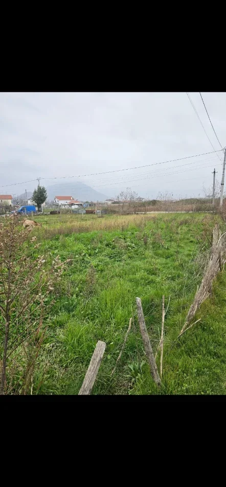 Shengjin, shitet truall ne bregdet , 912 m² 55.000 € (Kune)