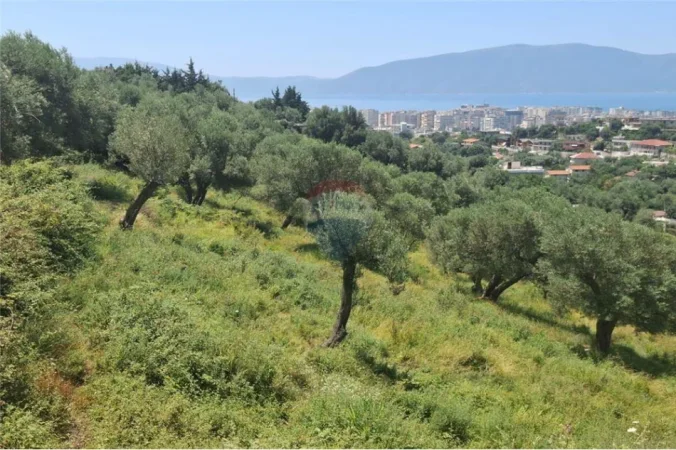 Vlore, shitet toke bujqesore , 1.000 m² 109.000 € (Topana, Vlore)