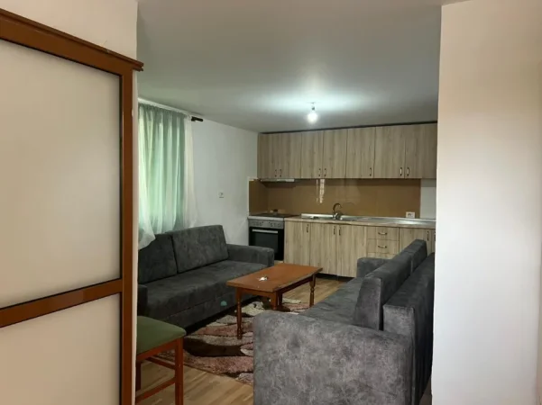 Tirane, jepet me qera garsonier Kati 0, 40 m² 270.000 € (Rruga Mihal Grameno)