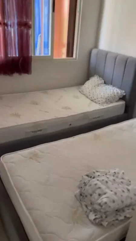 Tirane, jepet me qera apartament 1+1 Kati 2, 50 m² 260 € (Qendra Shëndetësore Qytet Studenti)