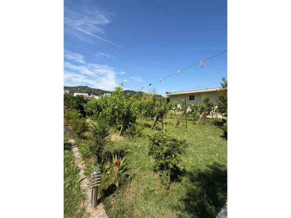 Tirane, shitet Vile Vile 3 Katshe Kati 0, 110 m² 650.000 € (Vore)