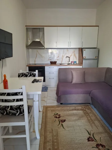 Tirane, jepet me qera apartament 1+1 Kati 1,