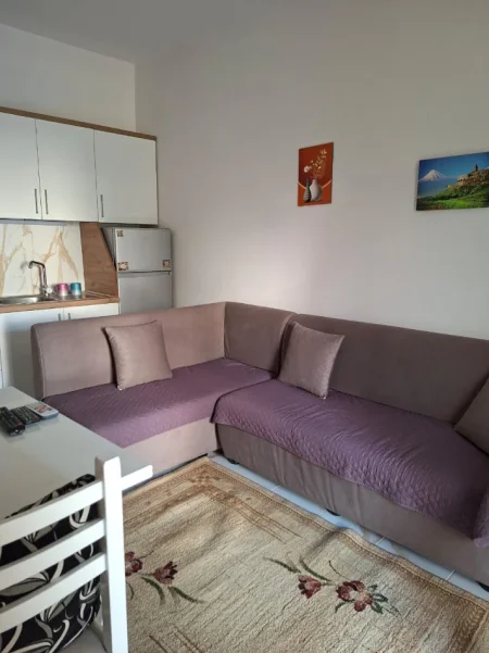 Tirane, jepet me qera apartament 1+1 Kati 1,