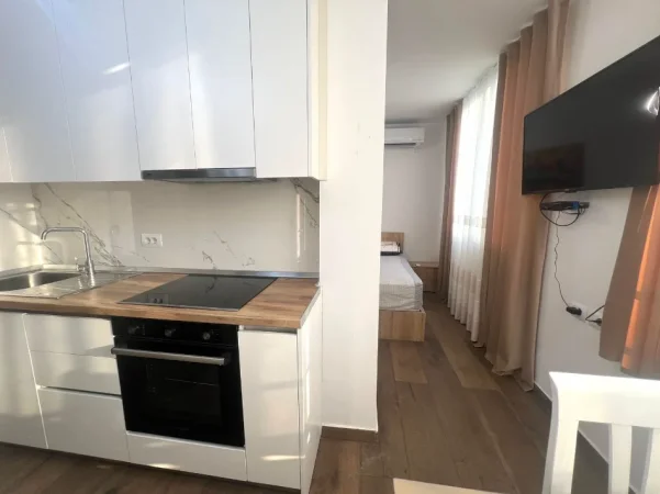 Tirane, jepet me qera garsonier Kati 9, 40 m² 600 € (sheshi willson)