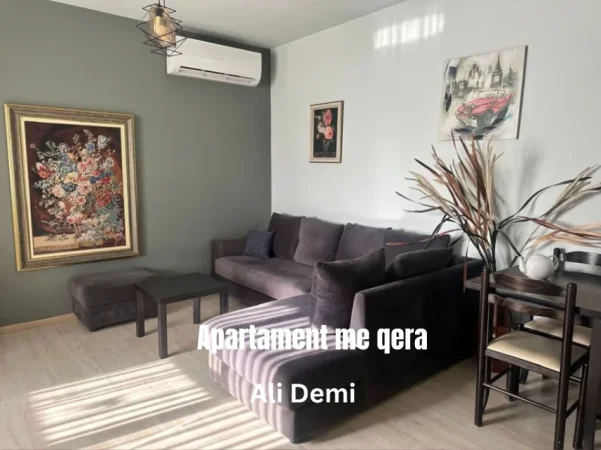 Tirane, jepet me qera apartament 1+1 Kati 6, 60 m² 500 € (Ali Demi)