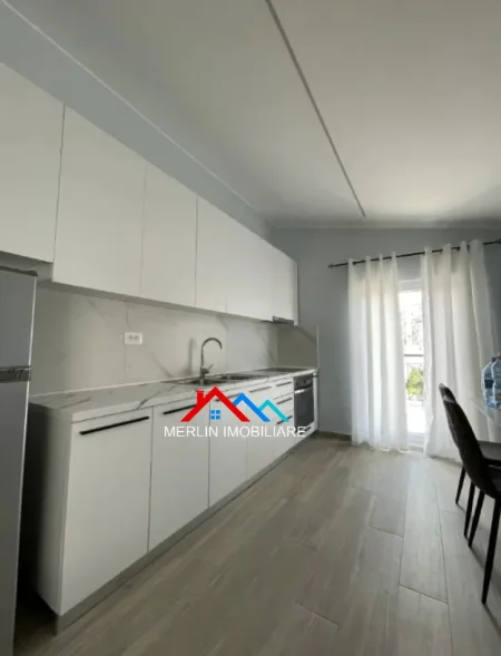 Tirane, jepet me qera apartament 1+1+Ballkon Kati 5, 66 m² 524 € (Rruga e Kavajes)