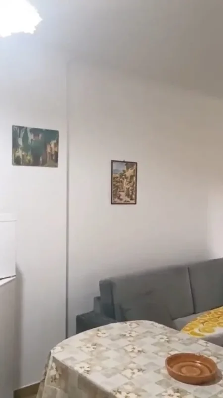 Tirane, jepet me qera apartament 1+1 Kati 3, 54 m² 350 € (Selvia)