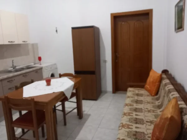 Tirane, jepet me qera apartament 1+1 Kati 0, 60 m² 320 € (Rruga jordan misja)