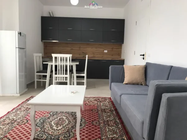 Tirane, jepet me qera apartament 1+1+Ballkon Kati 3, 61 m² 590 € (amerikan 2)