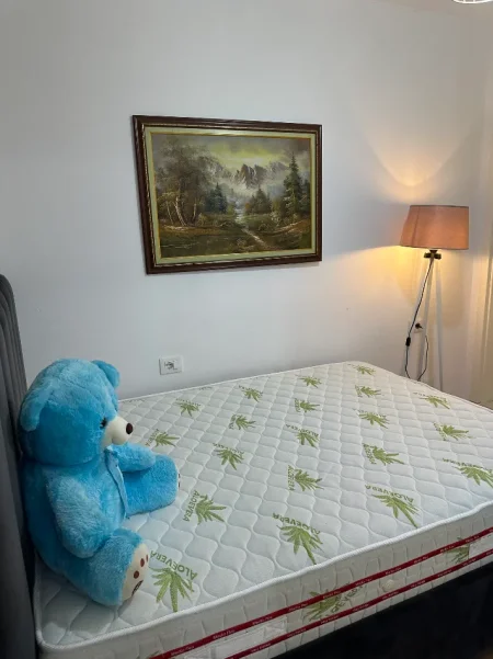 Tirane, jepet me qera apartament 1+1 Kati 1, 38 m² 350 € (Rruga Pasho Hysa kompleksi Mangalem)
