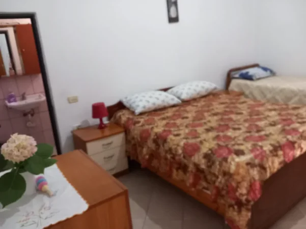 Shqiperi, jepet me qera shtepi 1+1 Kati 0, 60 m² 320 € (Rruga jordan misja)