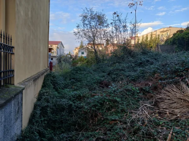 Tirane, shitet truall , 320 m² (Rruga haxhi bardhi me osa suku)