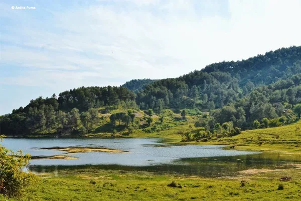 Tirane, jepet me qera truall , 6.000 m² (Vaqarr)