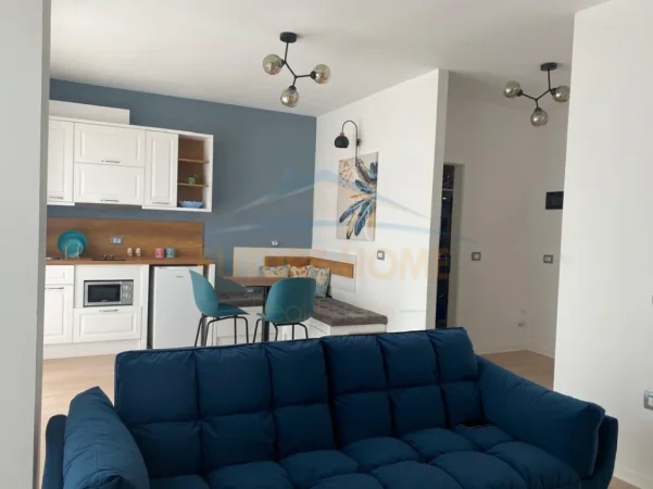 Tirane, jepet me qera apartament 1+1+Ballkon Kati 4, 60 m² 650 € (Komuna e Parisit)