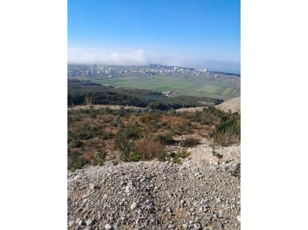 Kavaje, shitet toke , 4.500 m² 250.000 € (Kazie)