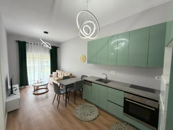 Tirane, jepet me qera apartament 1+1 Kati 2, 58 m² (Ali Demi)