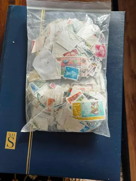Tirane, shes Shiten pulla nga e mbare bota 1000+ 50 €