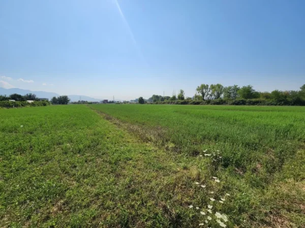 🟤 Shitet Tokë 3500m² Pas Megatek 🏬 ( Autostrada - Tiranë - Durrës 📍) (( 160,000€)) - Vendodhje Strategjike 🟢