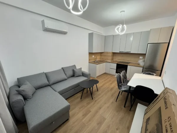 Tirane, jepet me qera apartament 1+1 , (Ali Demi)