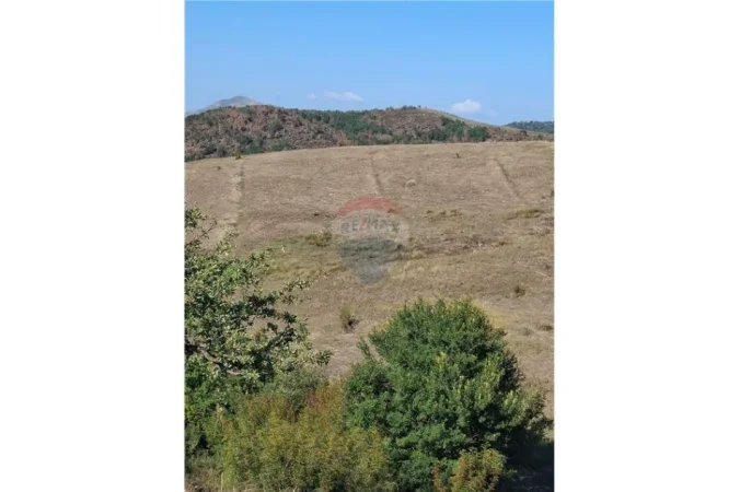 Vlore, shitet toke , 7.000 m² (Vajze, Vlore)