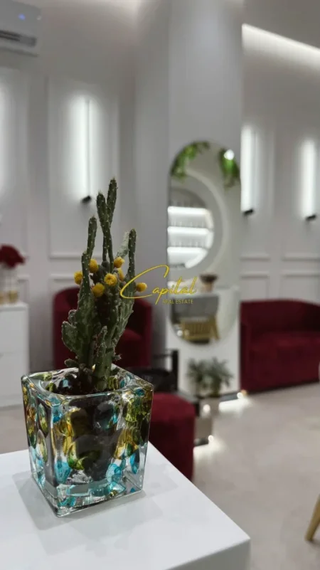 Tirane, jepet me qera ambjent biznesi Kati 0, 50 m² 600 € (ASTIR)
