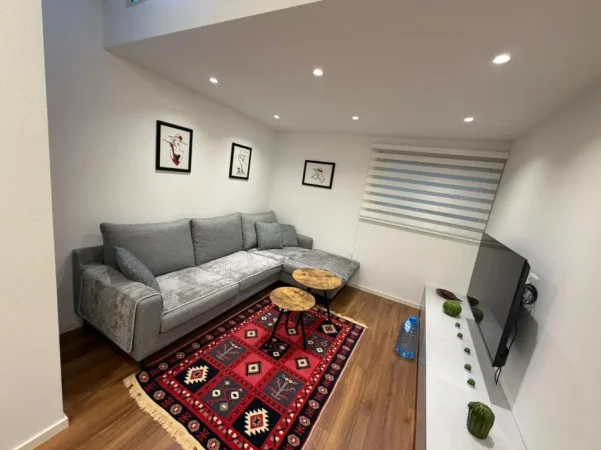 Tirane, jepet me qera apartament 1+1 Kati 1, 60 m² 580 € (Rruga e durresit)
