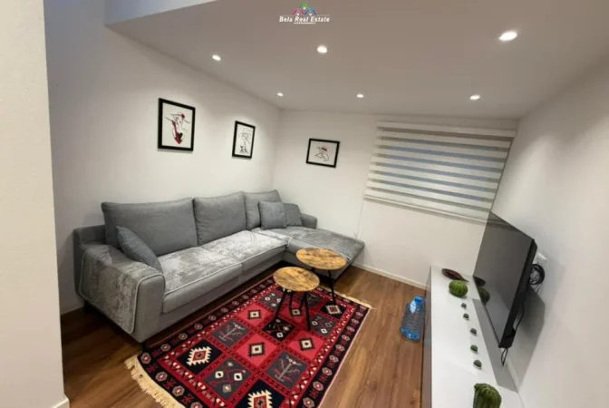 Tirane, jepet me qera Vile 1+1+Ballkon Kati 1, 60 m² 580 € (rruga e durresit)