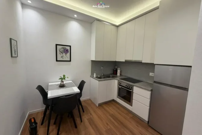 Tirane, jepet me qera Vile 1+1+Ballkon Kati 1, 60 m² 580 € (rruga e durresit)