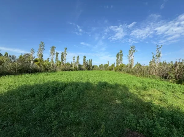 SHITET TRUALL NE PATOK   3.800 m² 570.000 €