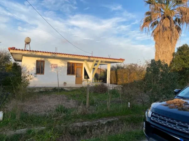 Fier, shitet shtepi 2+1 Kati 0, 534 m² 60.000 € (VERRI)