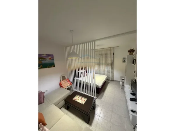 Tirane, shitet garsonier Kati 0, 47 m² 99.600 € (Ish parku)