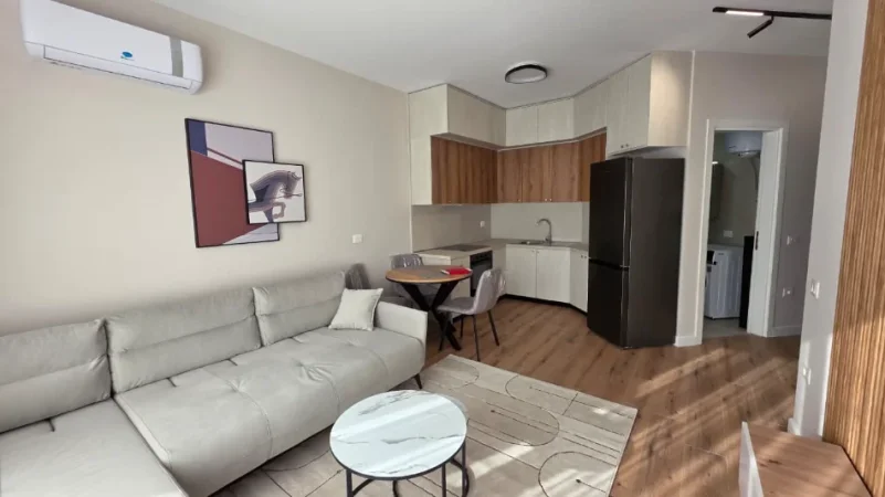 Tirane, jepet me qera apartament 1+1 , 750 € (Liqeni i Thate)