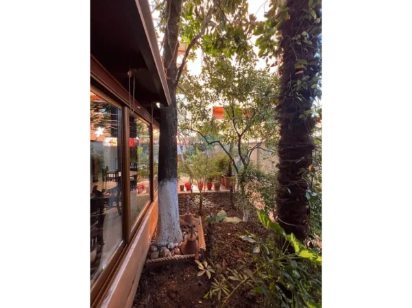 Tirane, jepet me qera Vile , 511 m² 4.000 € (XHAMLLIKU)