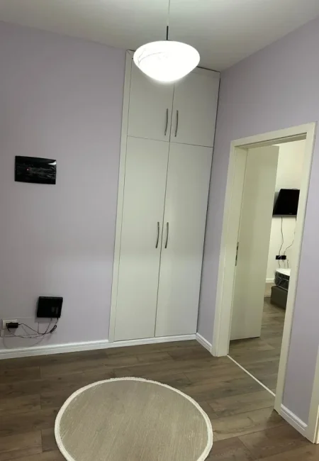 Tirane, jepet me qera apartament 1+1 Kati 2, 75 m² 650 € (Liqeni i Thatë)