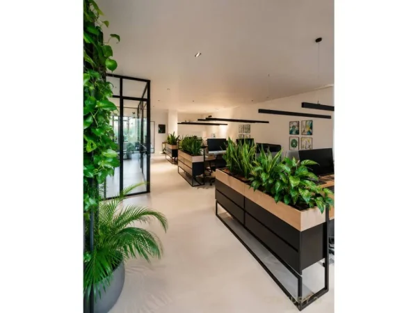 Tirane, jepet me qera zyre Kati 5, 160 m² 3.500 € (Ish Bllok)