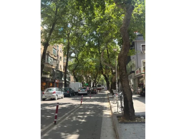 Tirane, jepet me qera ambjent biznesi Kati 0, 60 m² 2.000 € (Myslym Shyri.)