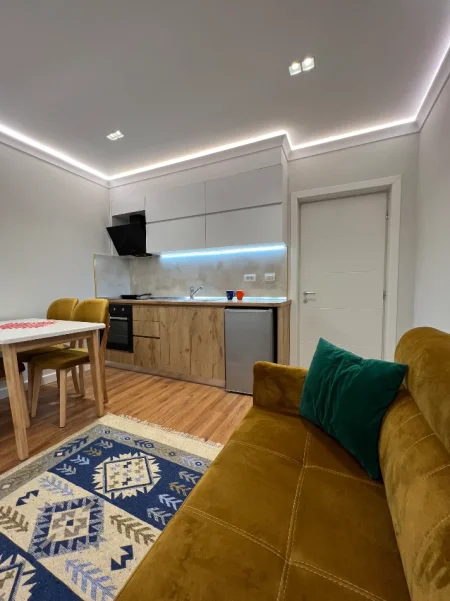 Tirane, jepen me qera 2 apartamente 1+1+Aneks+Ballkon Kati 0, 70 m² 700 € (Prane Spitalit Amerikan 2)