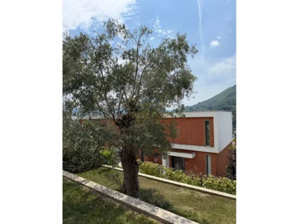 Tirane, shitet Vile Vile 3 Katshe Kati 1, 208 m² 650.000 € (The Olive Grove Residence, Mullet)