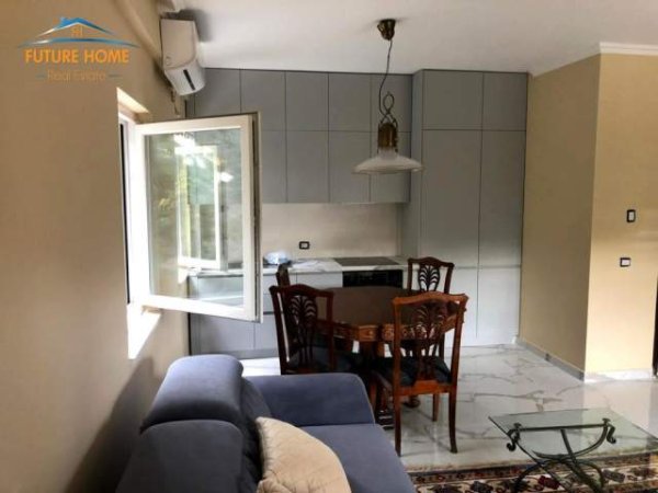 Tirane, jepet me qera apartament 1+1 Kati 2, 65 m² 450 Euro (Liqeni i Thate)