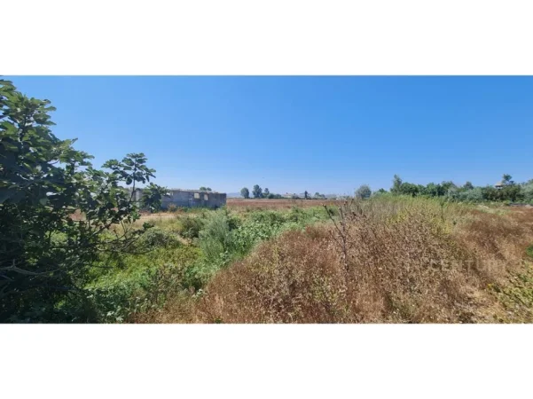 Durres, shes toke , 42.830 m² 942.000 € (Durres)